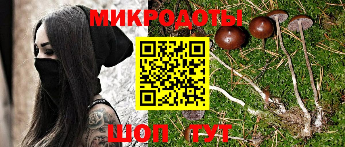 Псилоцибиновые грибы прущие грибы  Вход с VPN  Вятские Поляны  наркотики  Галлюциногенные грибы мицелий 