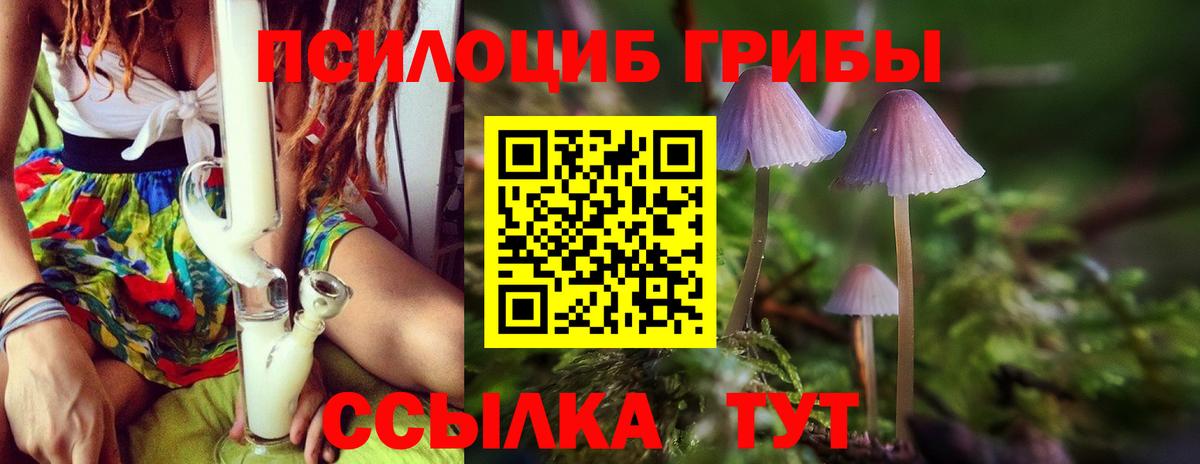 Псилоцибиновые грибы мухоморы Вятские Поляны